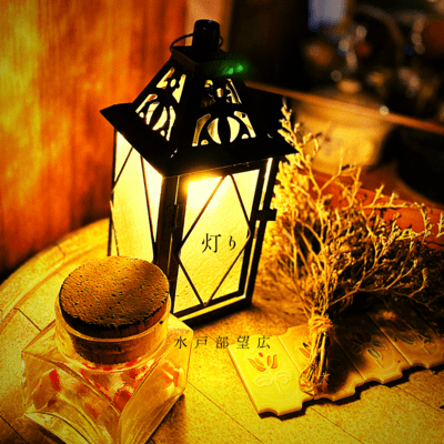 the light Front Cover