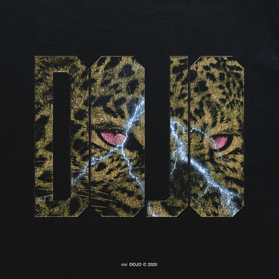 Dojo Front Cover