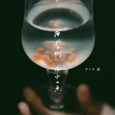 海水の街、淡水の魚のジャケット写真