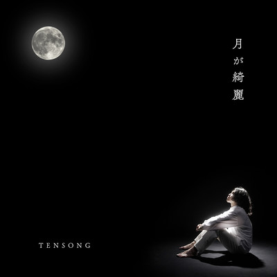 The moon is beautiful. Front Cover