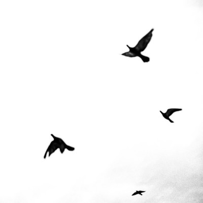 空を飛べない僕たちはのジャケット写真