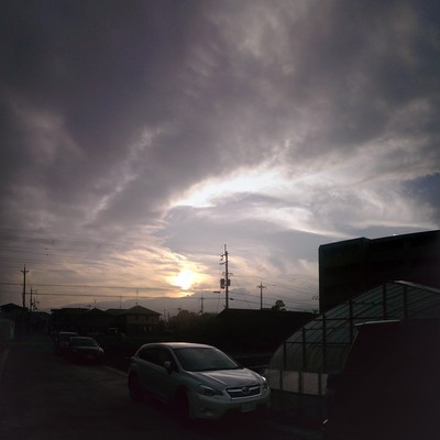 君は素敵な幻さ 2016 Original 31のジャケット写真