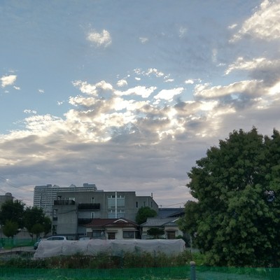 Chat-cha-cha 2017 Original 34 Front Cover