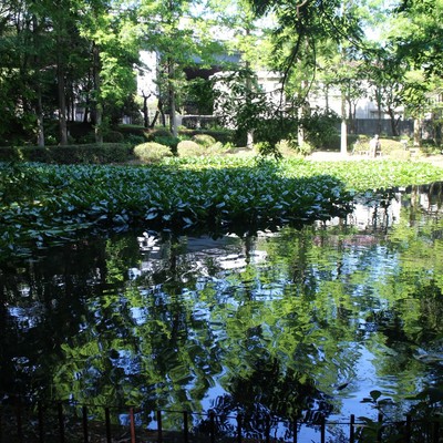 花をわたす 2018 Original 35のジャケット写真