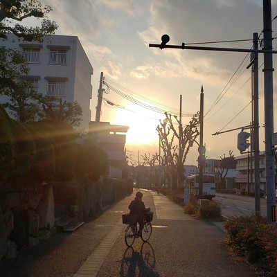 Just Live And Die 2019 Original 37 Front Cover