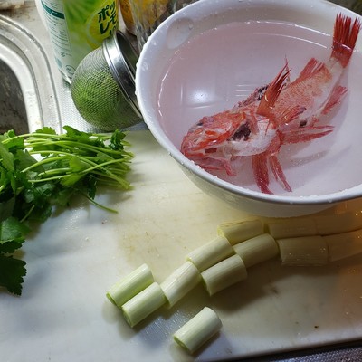 Sun Dance 2019 Selection 4 Front Cover