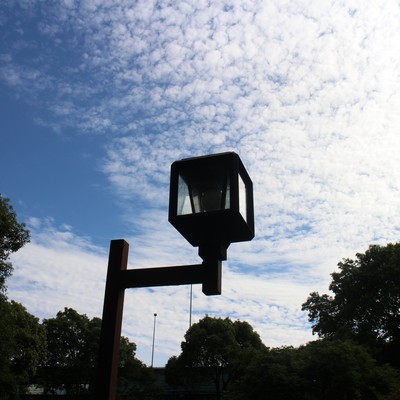 You Are a Waitress 2019 Selection 5 Front Cover