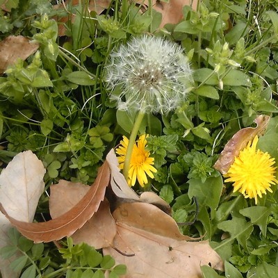 The Same Old Night 2019 Selection 7 Front Cover