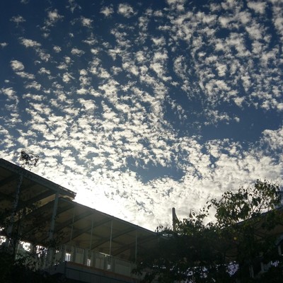 A Dream Anyone Can Understand 2020 Original 40 Front Cover