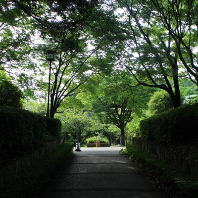 Men and alcohol 2020 Selection 8 Front Cover