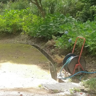 Throwing It All Away 2021 Selection 10 Front Cover