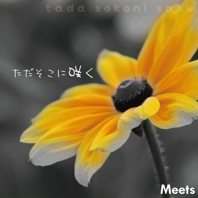 tada sokoni saku Front Cover