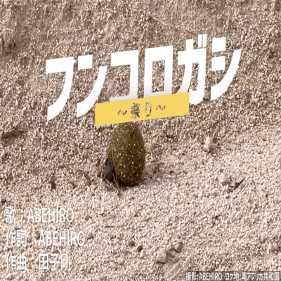 フンコロガシ 〜祭り〜のジャケット写真