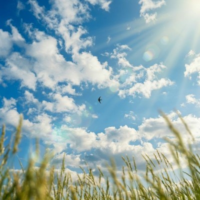 Tomorrow's "I Love You" Front Cover