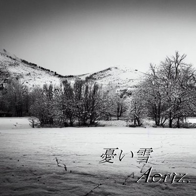 Sorrowful snow Front Cover