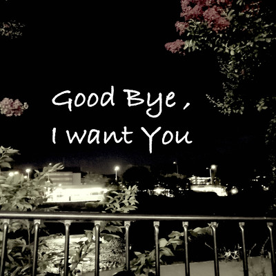 Good Bye , I want You (feat. Shohei Ikezumi) Front Cover