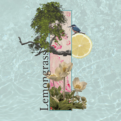 Lemongrassのジャケット写真
