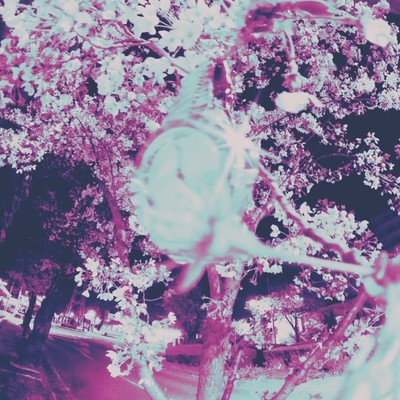 BROKEN WATCH Front Cover