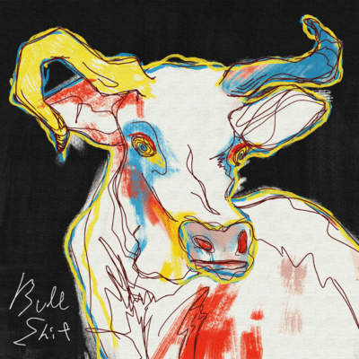 BullShit!!! Front Cover