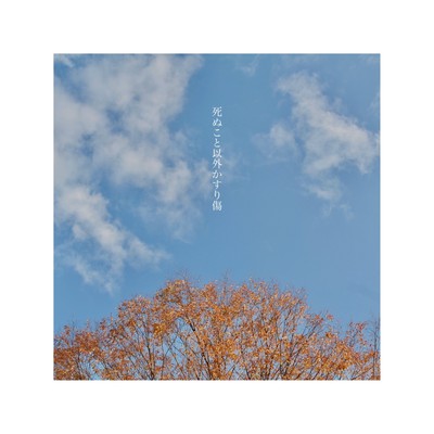 shinukotoigaikasurikizu Front Cover