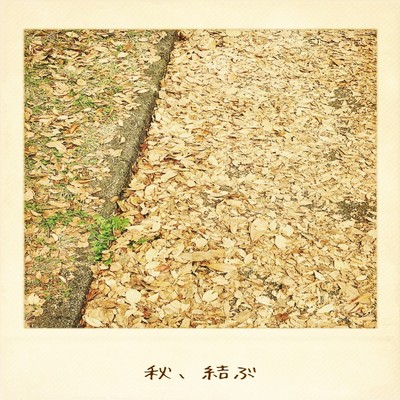 秋、結ぶのジャケット写真