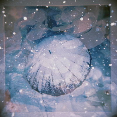 Missing Umbrella Front Cover