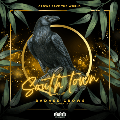 South town Front Cover