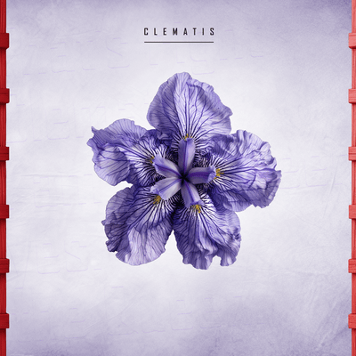 Clematis Front Cover
