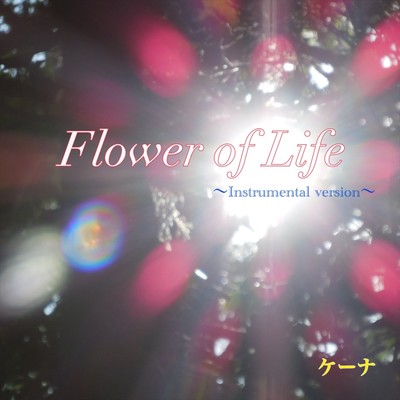 Flower of Life (Instrumental version) Front Cover