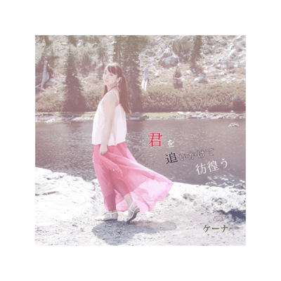 Kimi wo oikakete samayou Front Cover