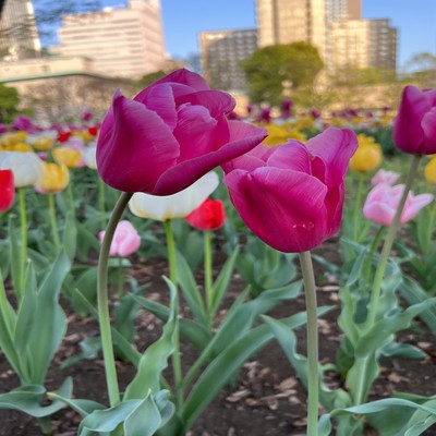 Eternal Memoriesのジャケット写真