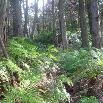 you break them good and hard Front Cover