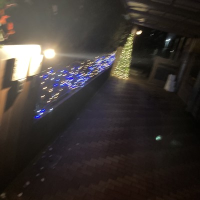 母なる夜 (live at navey floor, Tokyo, 2023)のジャケット写真