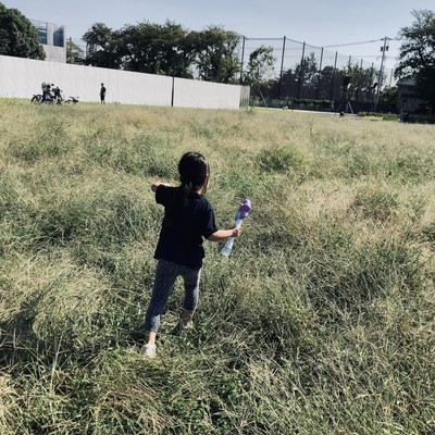 the longvacationsのジャケット写真