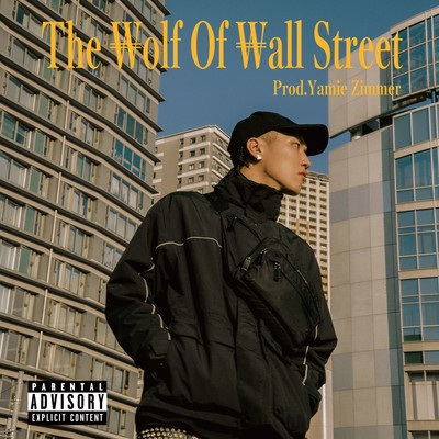 The Wolf Of Wall Street Front Cover