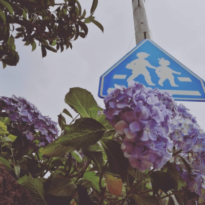 Karuta Drops Front Cover