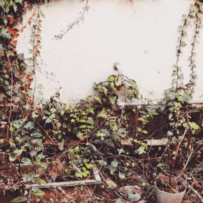 Unwanted Front Cover