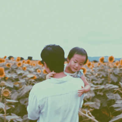 Sunflower Front Cover