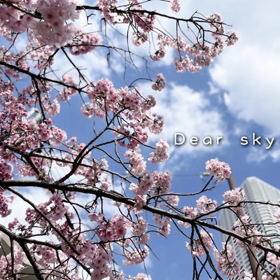 Dear skyのジャケット写真