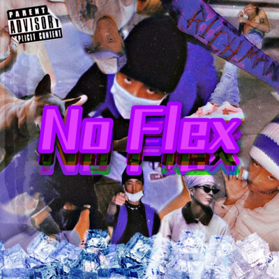 NoFlex Front Cover