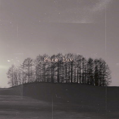 Pure Luv (feat. Ruka) Front Cover