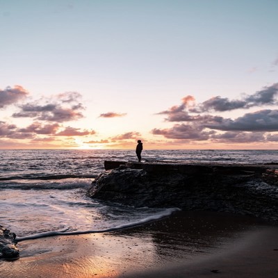 Distortion Front Cover