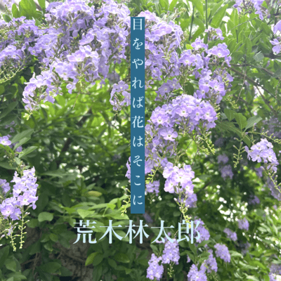 mewoyarebahanawasokoni Front Cover