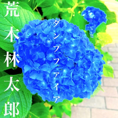 ダンプファイアのジャケット写真