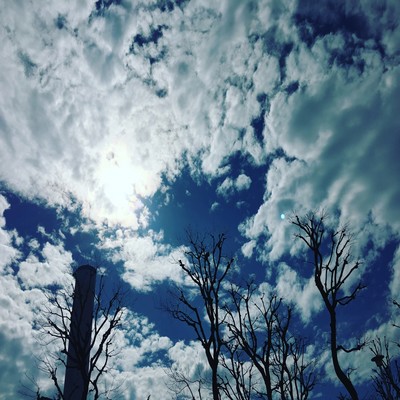 Last Diaryのジャケット写真