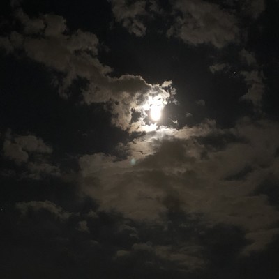 Winter Distanceのジャケット写真