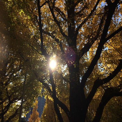 ...and be happy.のジャケット写真