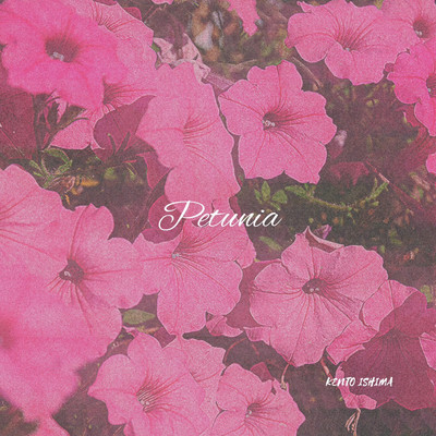Petunia Front Cover
