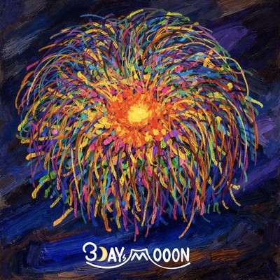 firework Front Cover