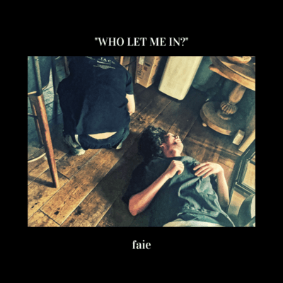 WHO LET ME IN? Front Cover